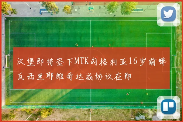 汉堡即将签下MTK匈格利亚16岁前锋瓦西里耶维奇达成协议在即