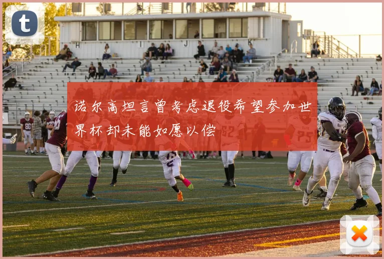 诺尔高坦言曾考虑退役希望参加世界杯却未能如愿以偿